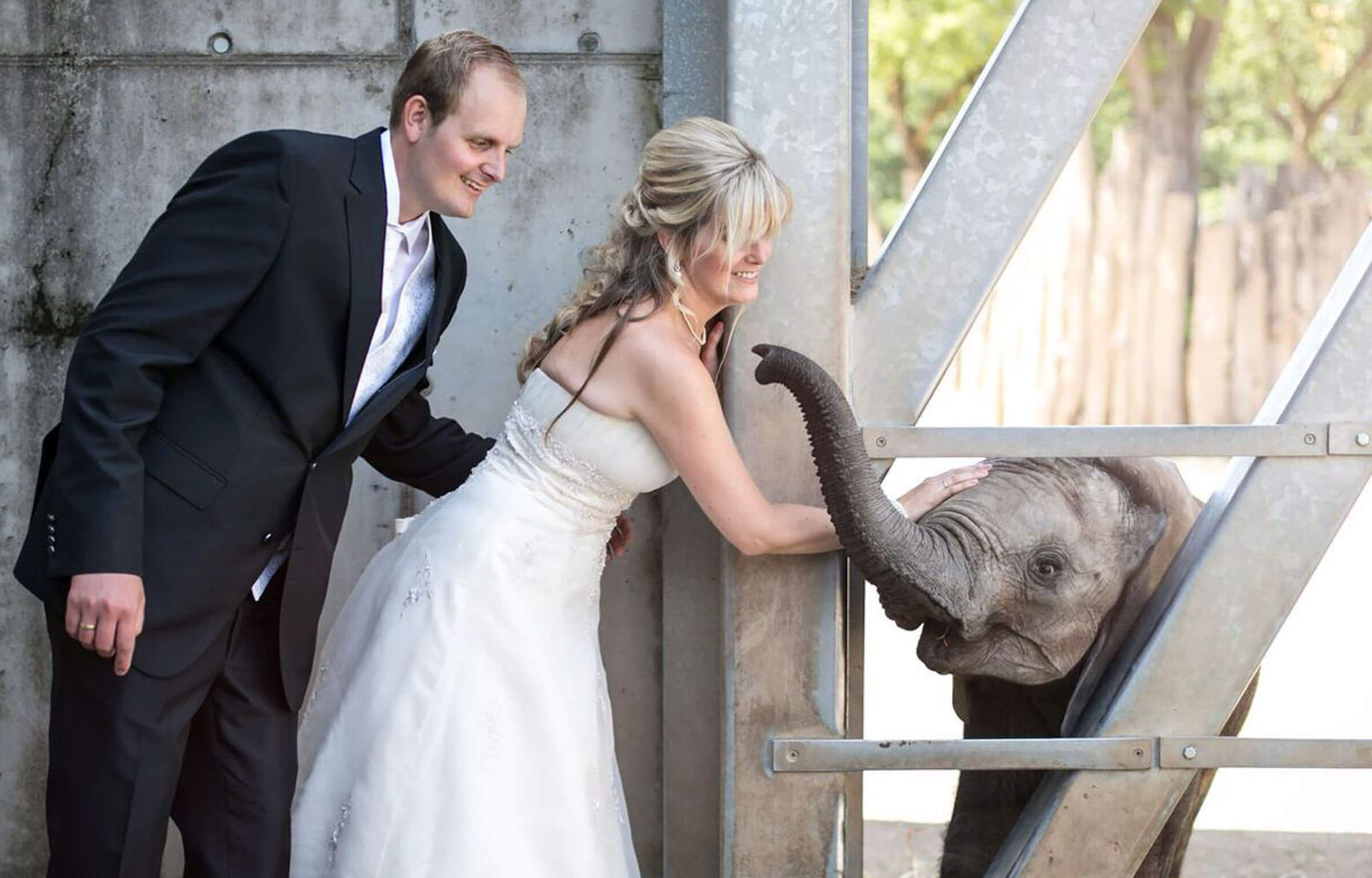 Zoo Halle: Events & Catering
