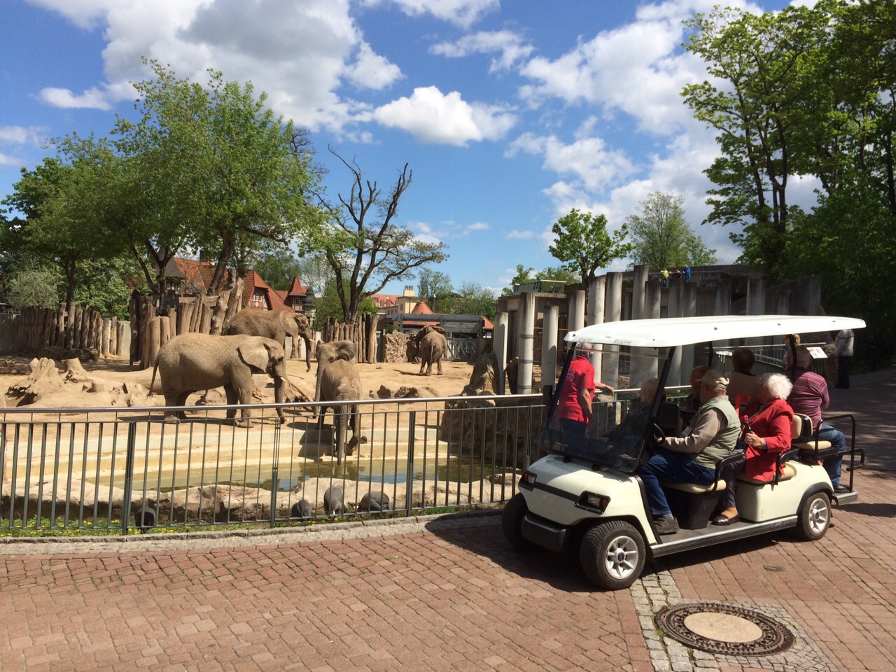 Zoo Halle: Shuttle Safaris