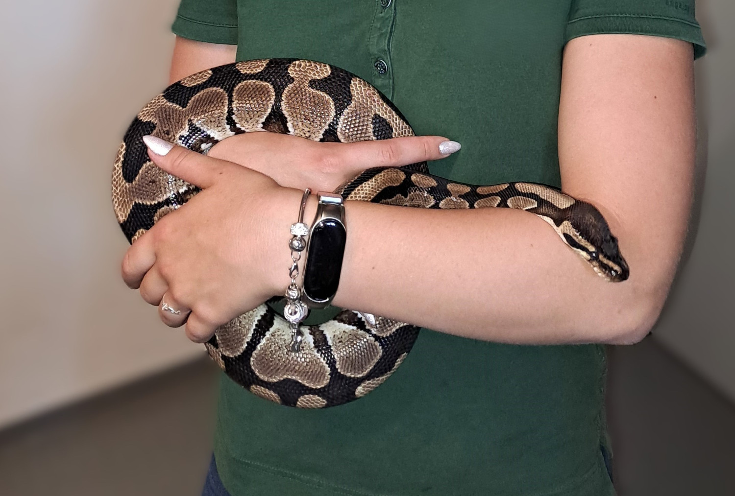 Zoo Halle: Python