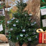 Zoo Halle: Tierische Weihnachtswünsche