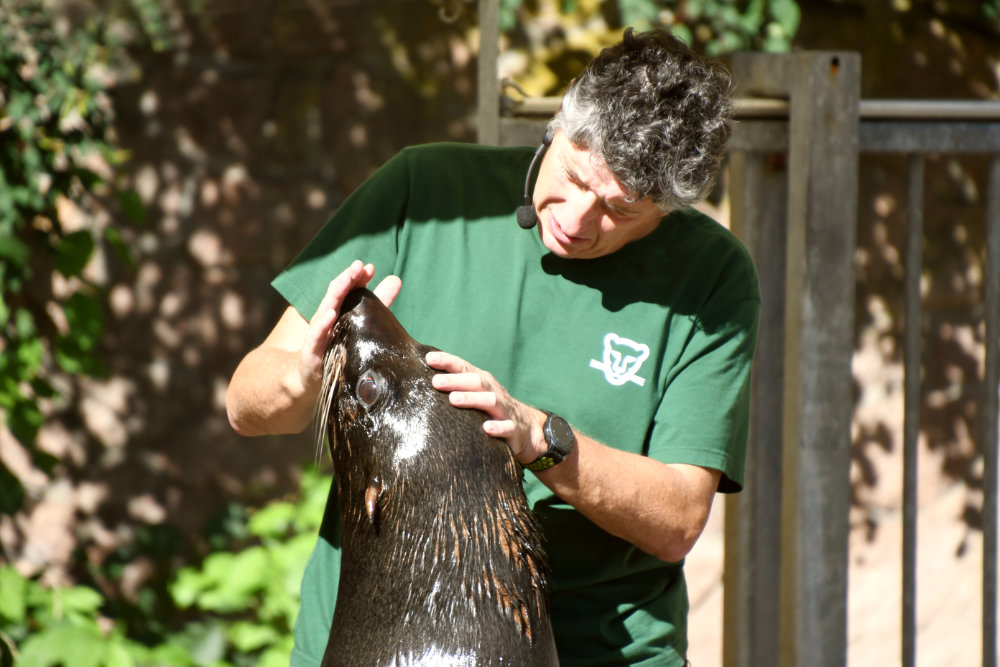 Bergzoo Halle: Seebären