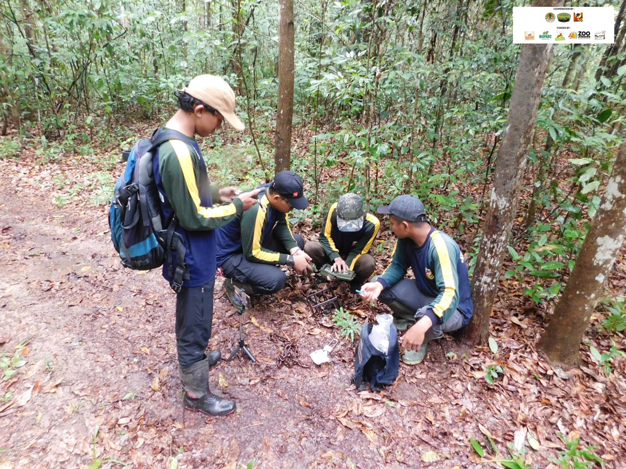 Ranger im Wald