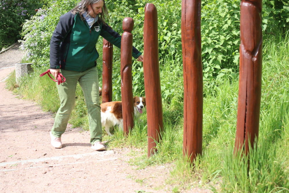 Bergzoo Halle: Hundeerlebnispfad