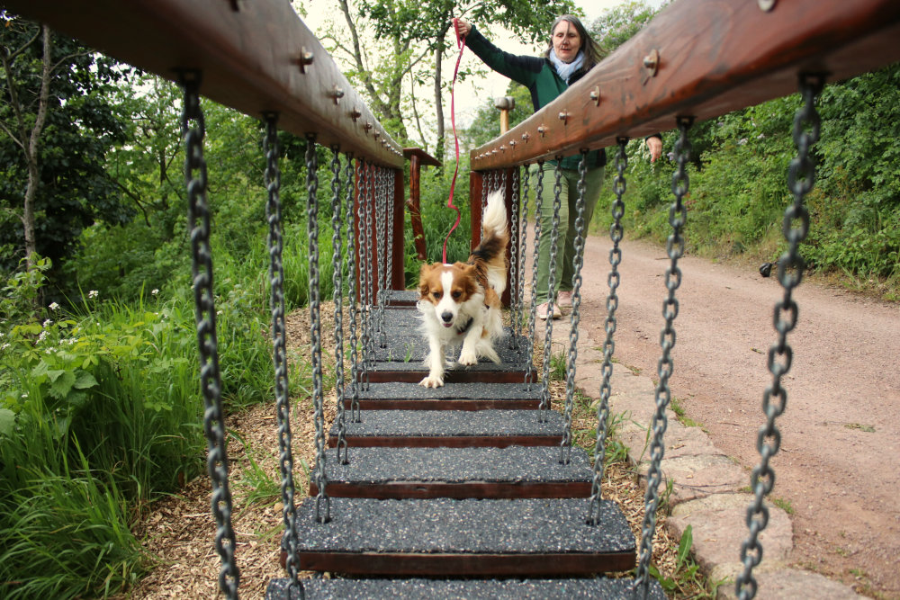 Bergzoo Halle: Hundeerlebnispfad