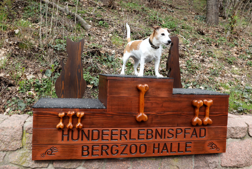 Bergzoo Halle: Hundeerlebnispfad
