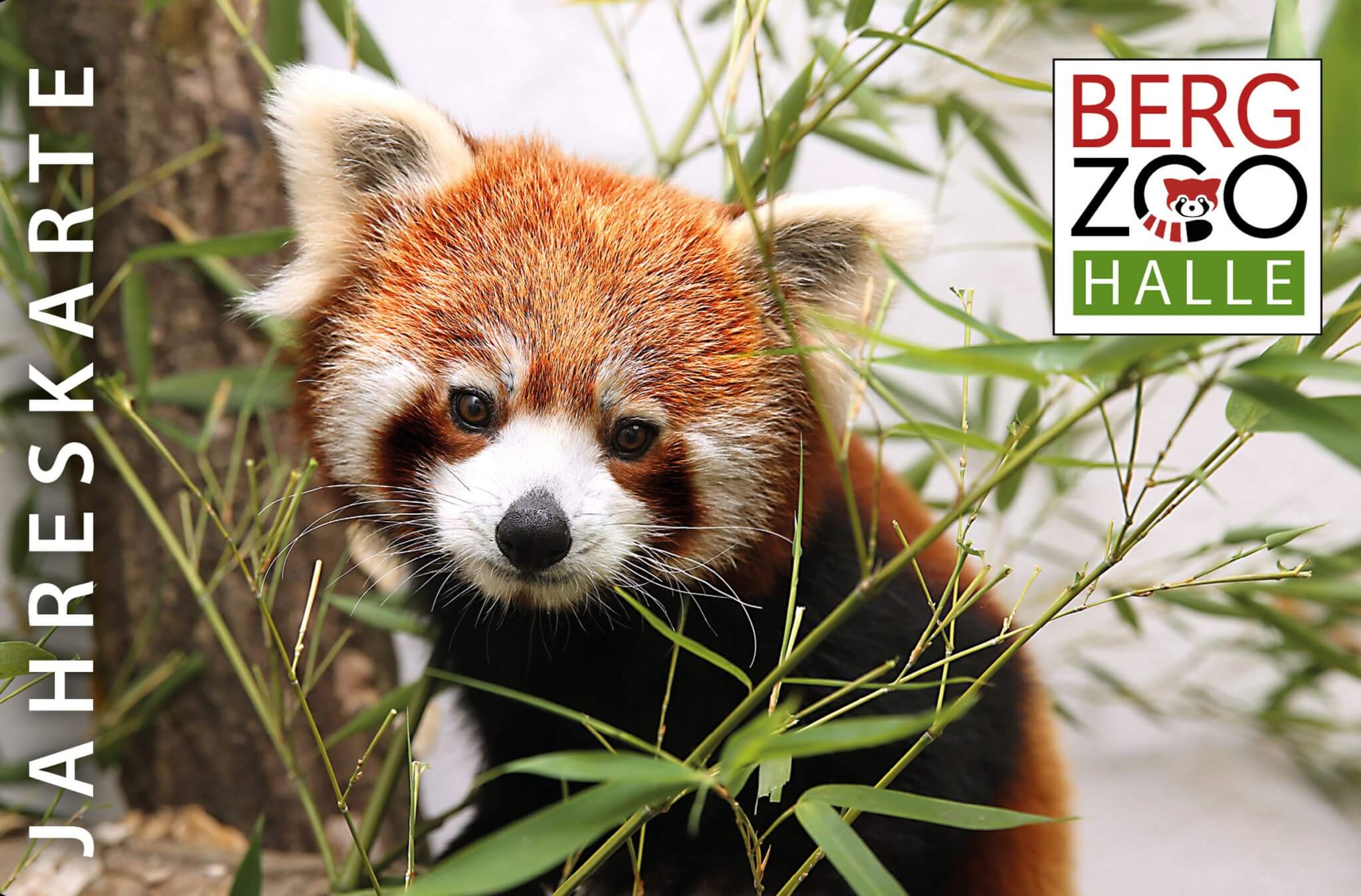 Bergzoo Halle: Jahreskarte
