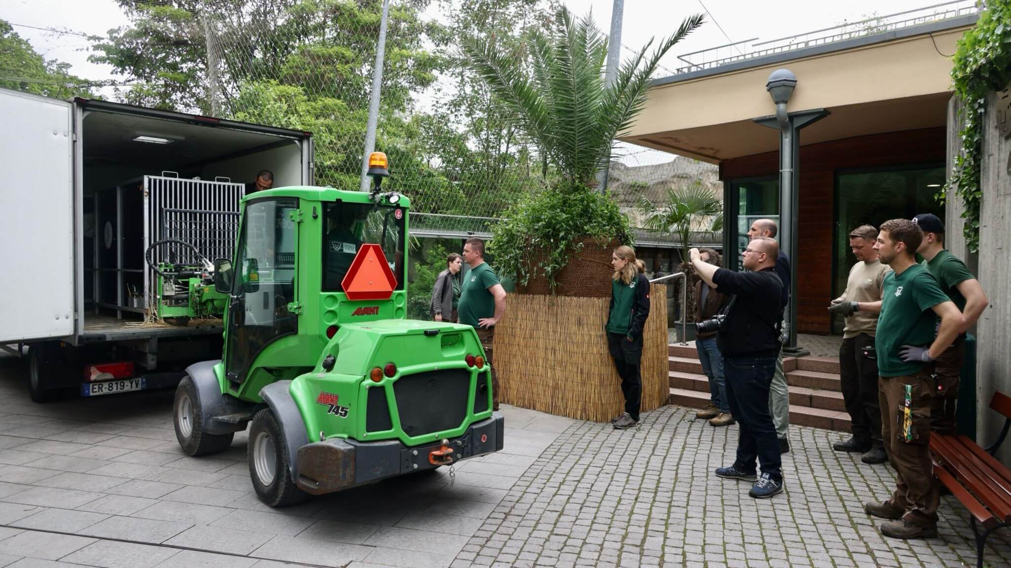Begzoo Halle: Ankunft der Berberlöwen
